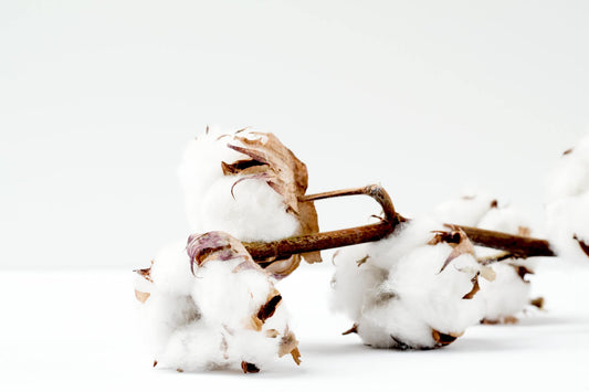 Les bienfaits du coton